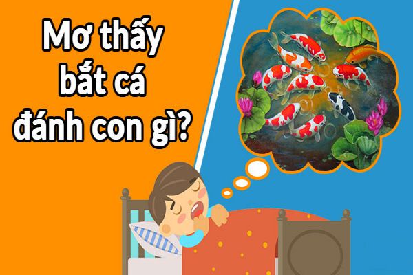 Mơ thấy cá là điềm tốt hay xấu? Gợi ý các con số may mắn